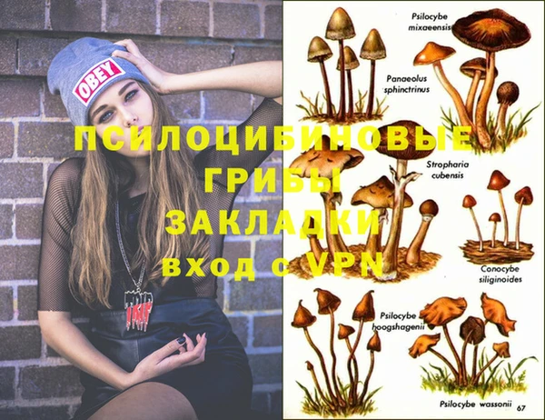 MDMA Premium VHQ Елабуга
