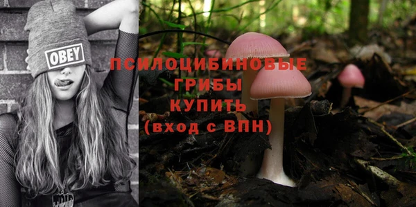 меф Армянск