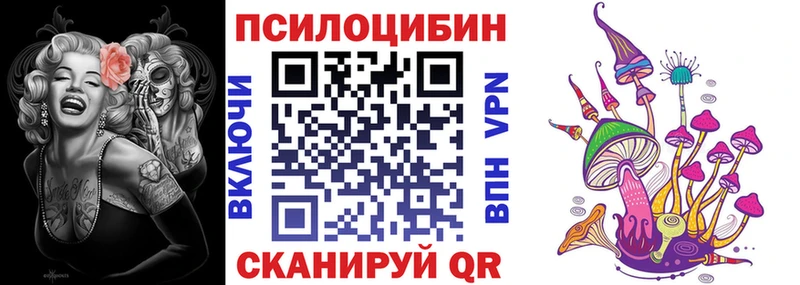 Галлюциногенные грибы мухоморы  Стародуб 
